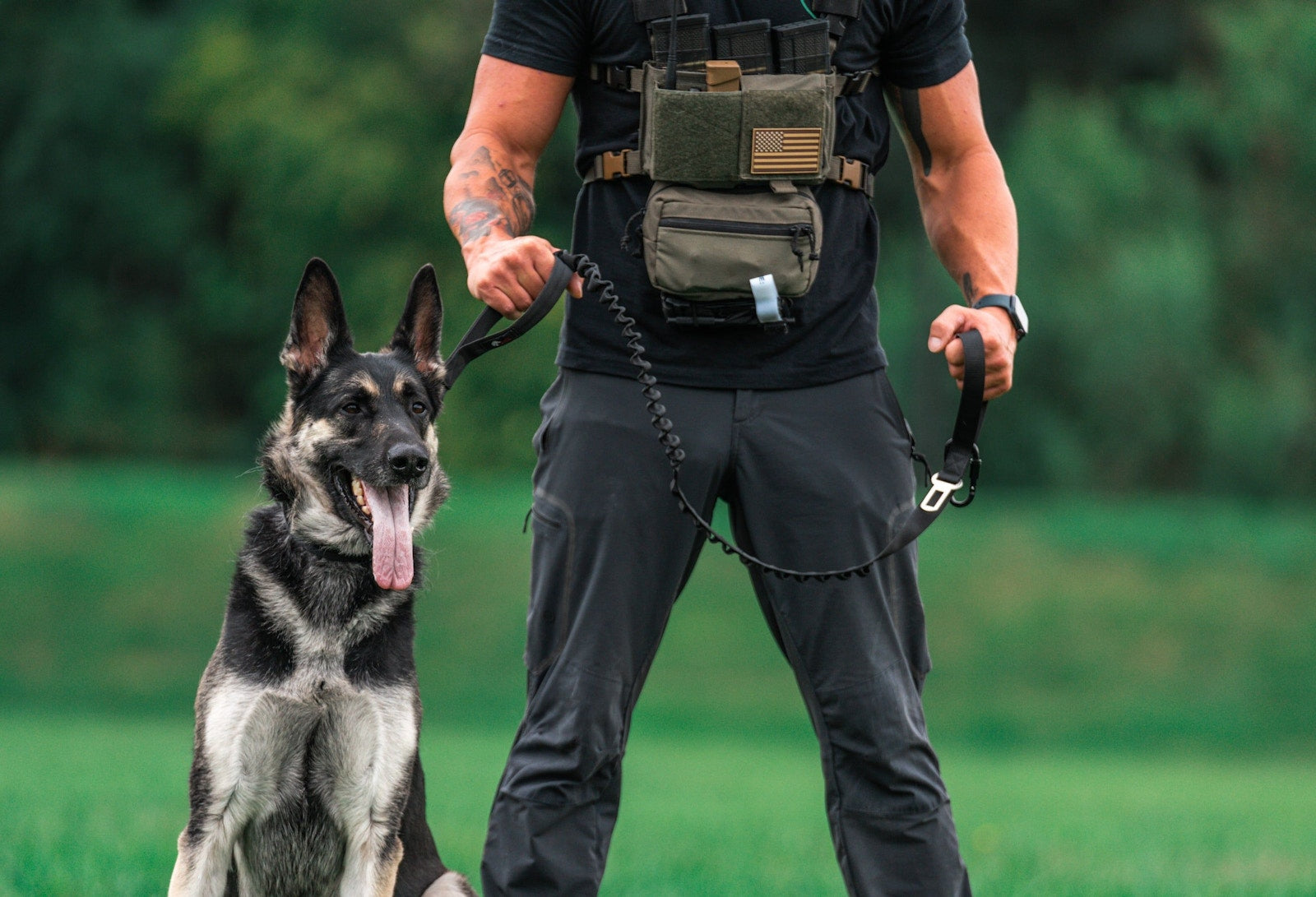 Walking a dog on a trail in a Wolf weighted vest