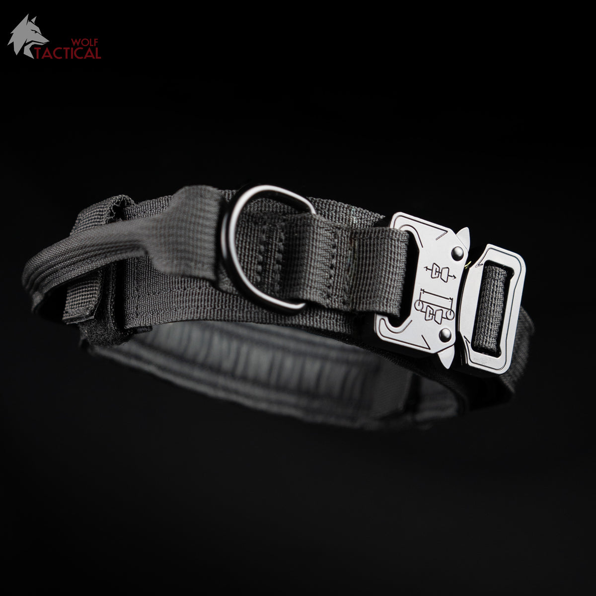 Dog Gear