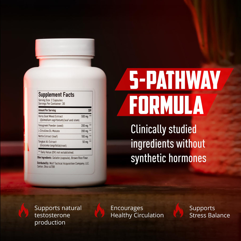 Alpha Testosterone - Advanced T-Booster