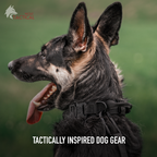 Tactical Dog Leash