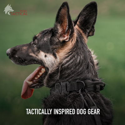 Tactical Dog Leash