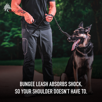 Tactical Dog Leash