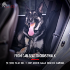 Tactical Dog Leash