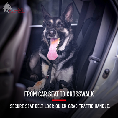 Tactical Dog Leash