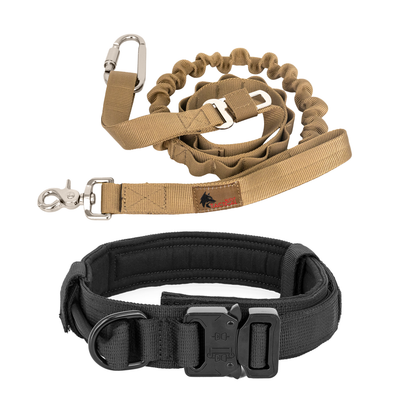 Paw Parent Bundle