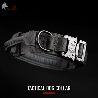 Tactical Dog Collar