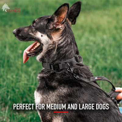 Tactical Dog Collar