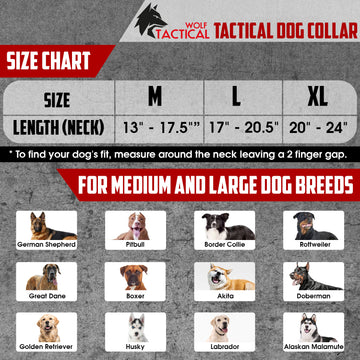 Tactical Dog Collar – Wolf Tactical