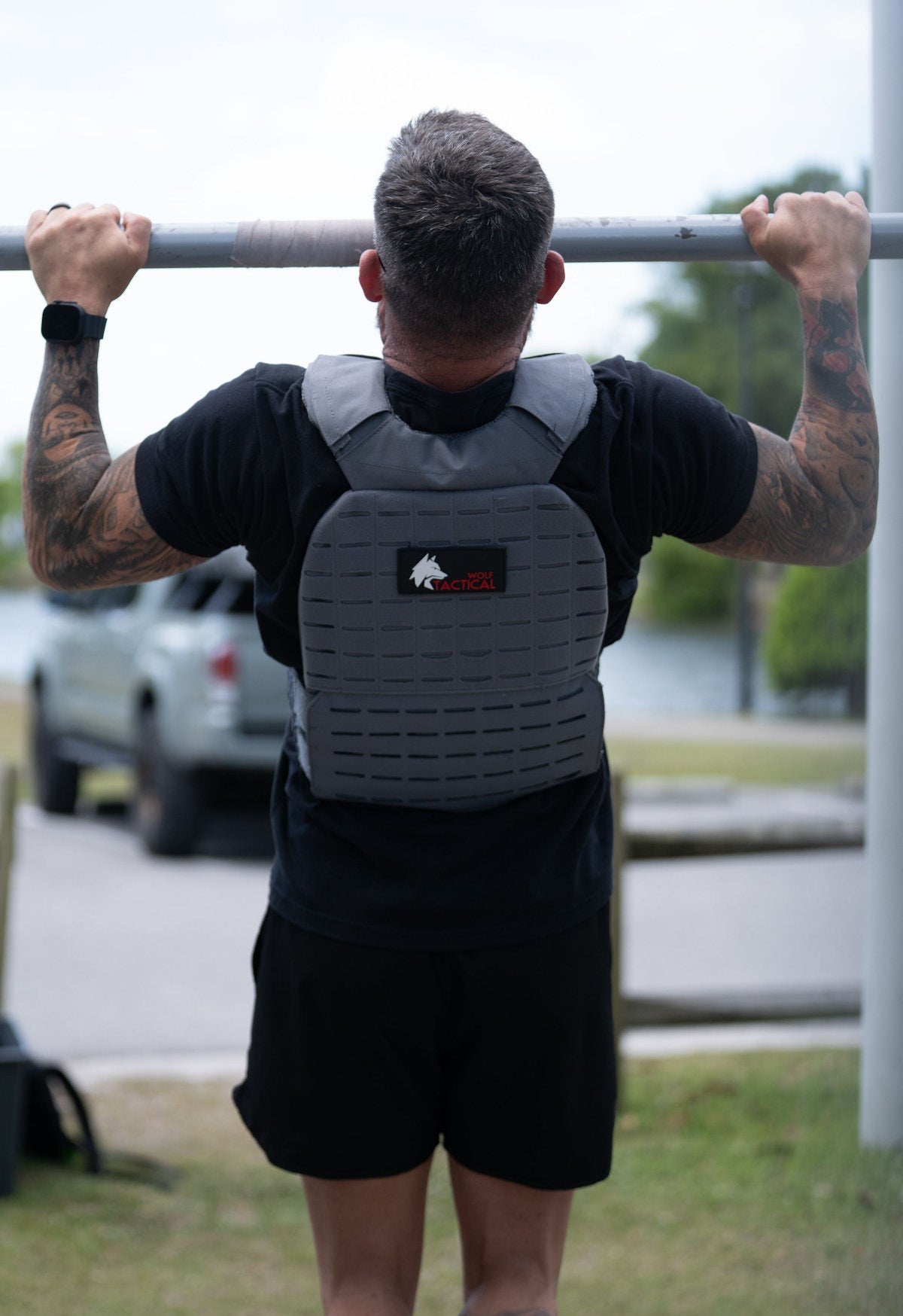 Back panel and straps of a plate carrier